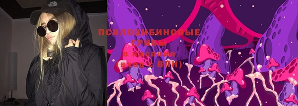 mdpv Каменка