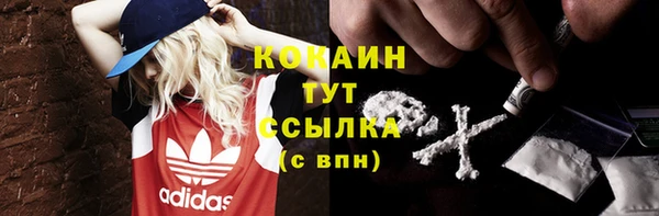 спиды Каменногорск