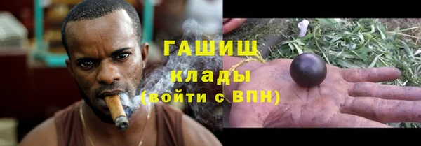 спиды Каменногорск