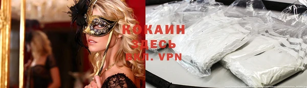 спиды Каменногорск