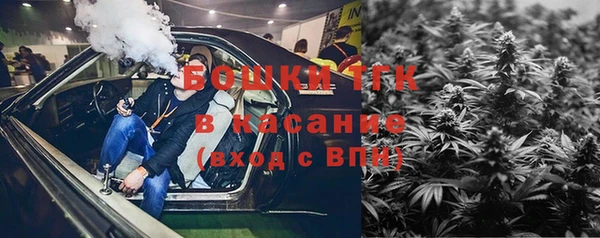 спиды Каменногорск