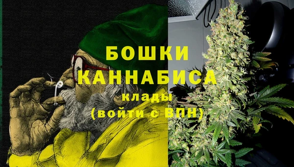 спиды Каменногорск