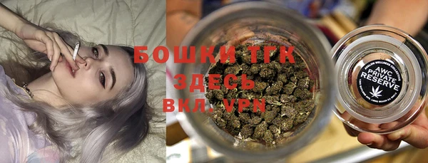 спиды Каменногорск