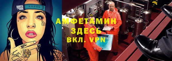 спиды Каменногорск