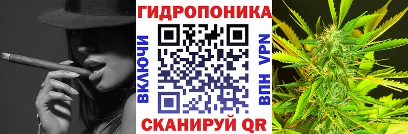 Купить закладки  Гурьевск  Канабис конопля 
